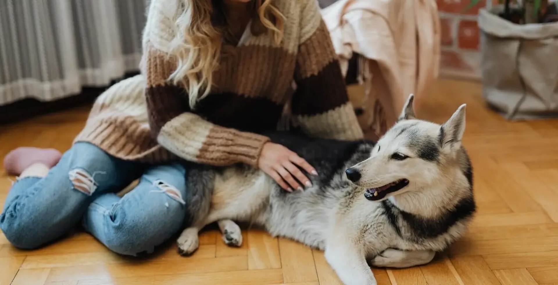 New Jersey Veterinarian