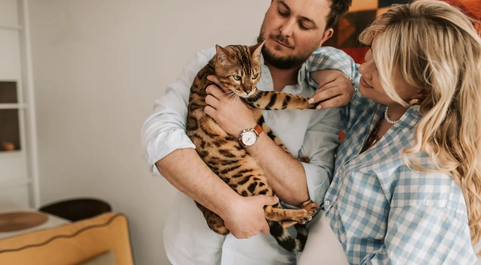 Veterinarian near me