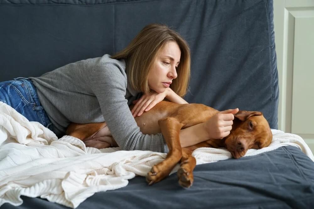 How to Cope While Caring for a Terminally Ill Pet
