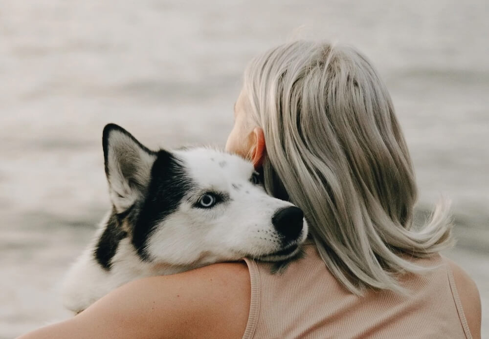 How to Know When It's Time to Let Go of a Pet