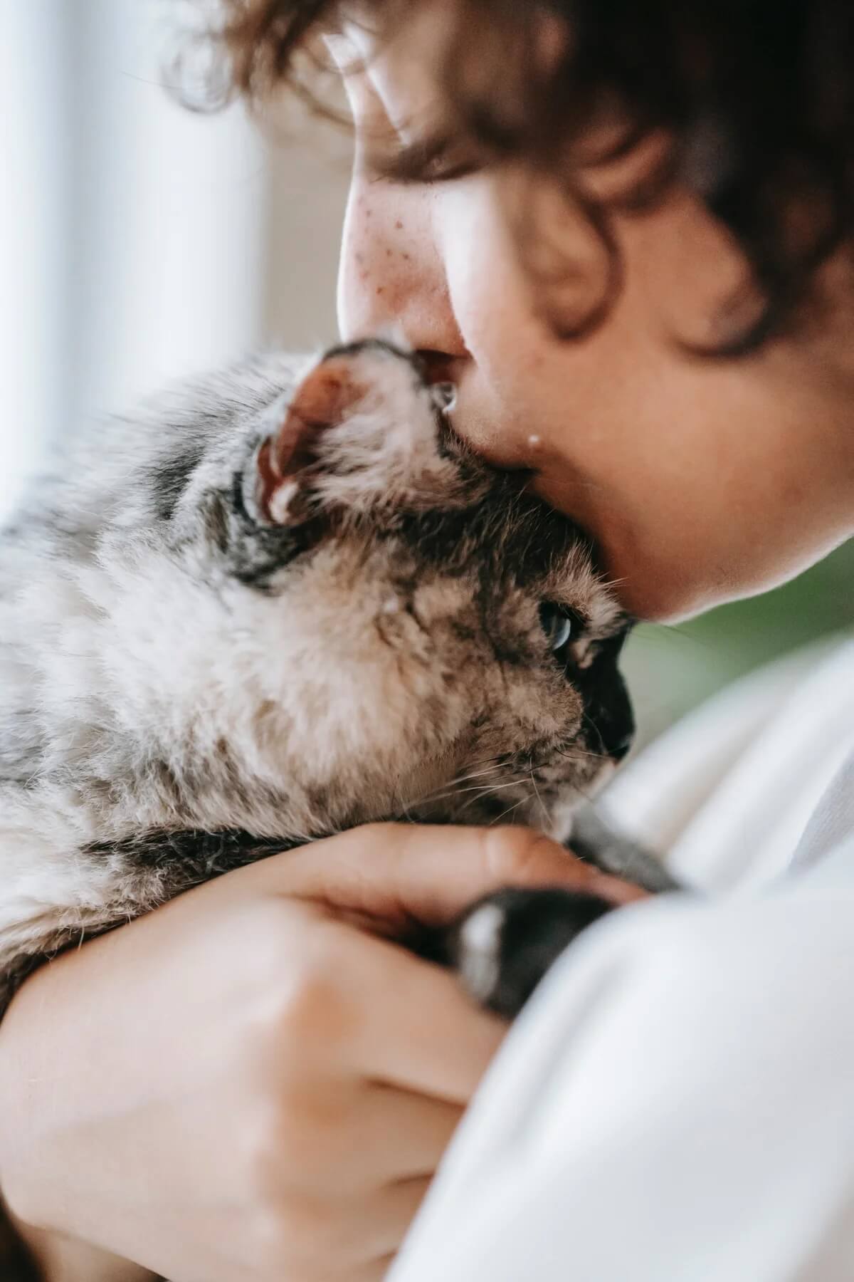 Pet Quality of Life Pet Quality of Life