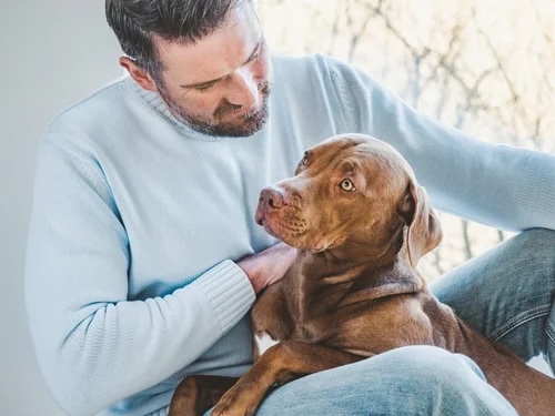 Tips for Caring for a Senior Pet