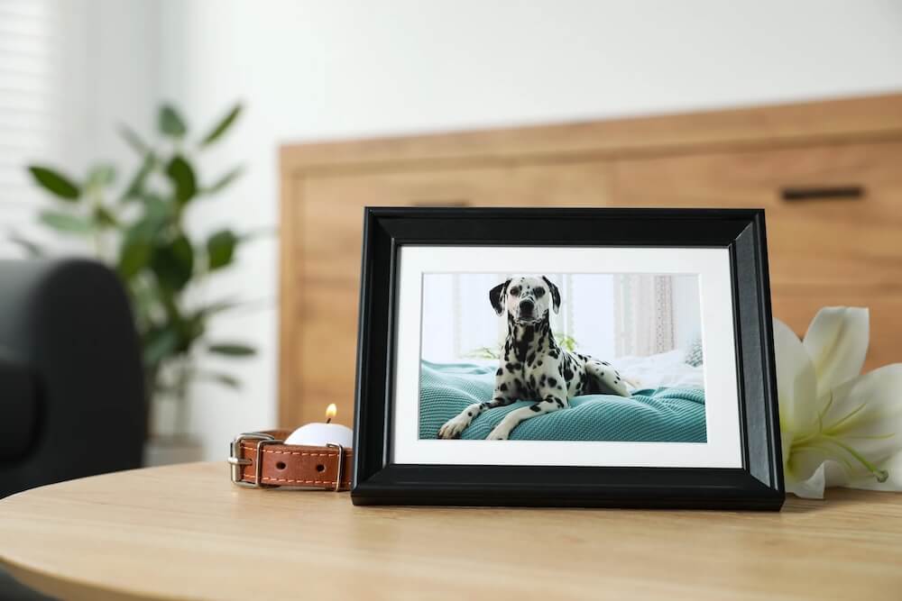 Ways to Memorialize Your Pet