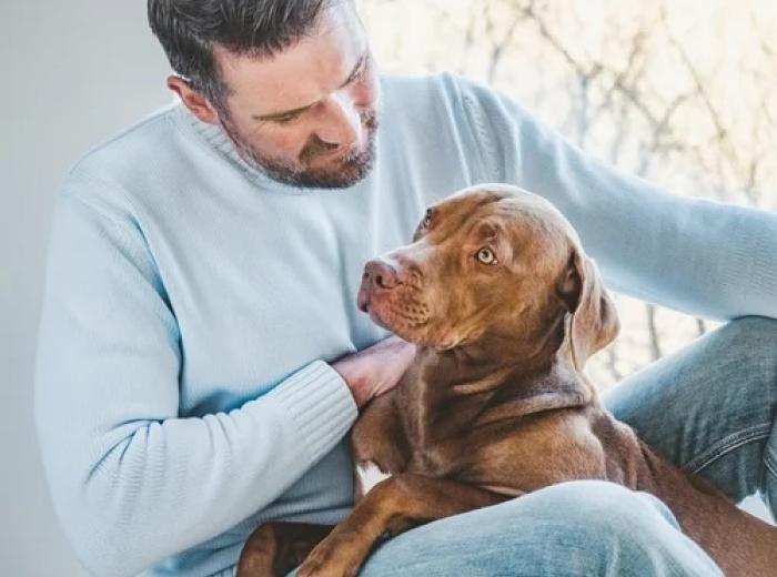 Tips for Caring for a Senior Pet