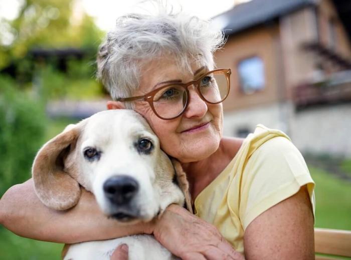 Understanding and Overcoming Guilt After Euthanizing a Pet
