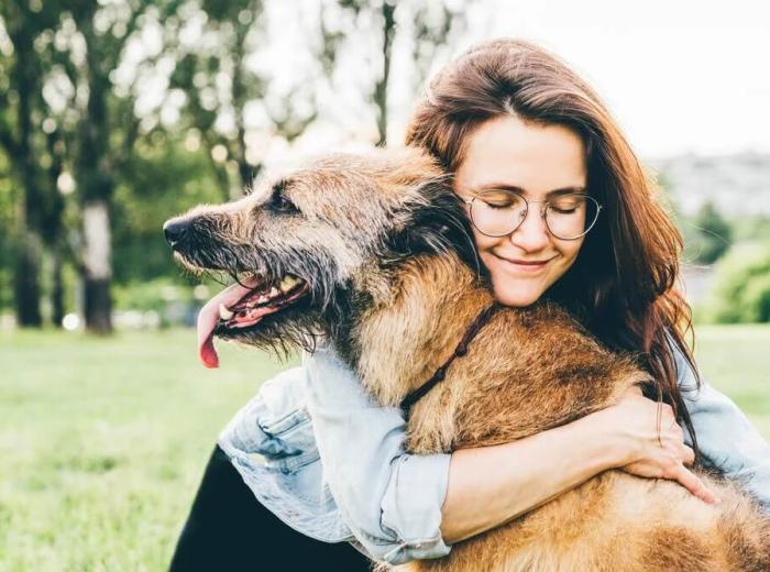 Understanding Natural Death and Euthanasia in Pets
