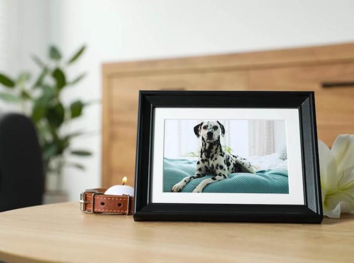 Ways to Memorialize Your Pet