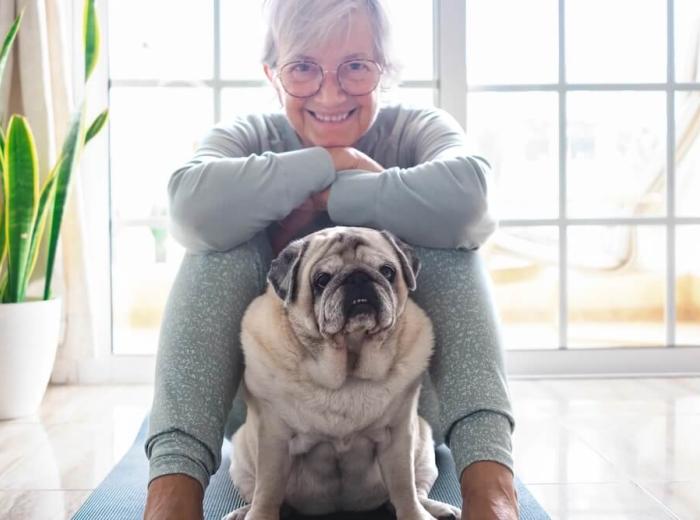 Ways to Strengthen Your Bond With Your Senior Pet