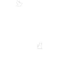 A Peaceful Return To Eden